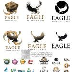 thumb_business-logos-eagle-and-arrow-vector-7278020