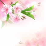 thumb_spring_flowers23_524541-3504393
