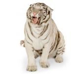 thumb_white-tiger-1106993