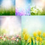 fresh_flowers_in_the_spring_meadow_mini-9740740